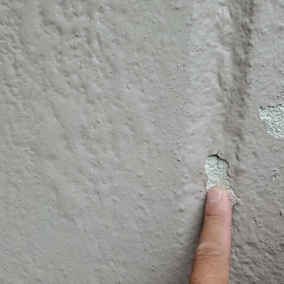 コケを放置すると外壁の劣化を招きやすい