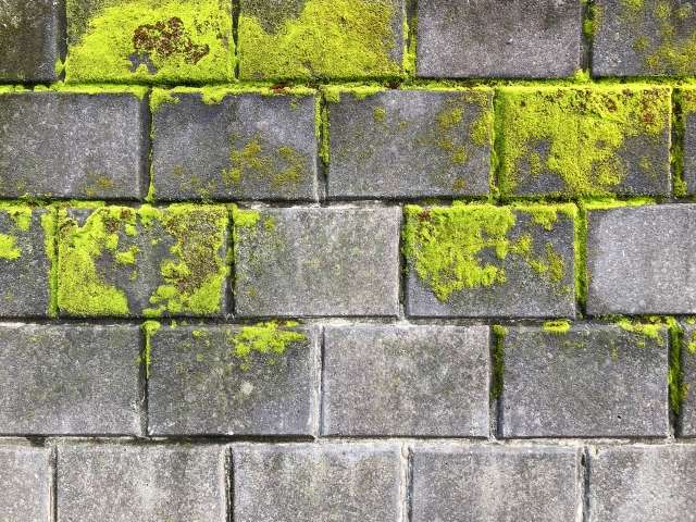 浦安市の外壁塗装事例「現地調査で塗膜剥がれや苔、シーリング割れを発見」